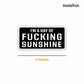 I Am The Ray Of Fu**ing Sunshine Sticker