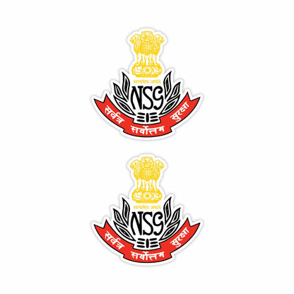 NSG Logo Sticker