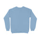 DT Raw Solid Unisex Sweatshirts