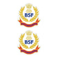 BSF Logo Sticker (Pack of 2) - Mini Military Series