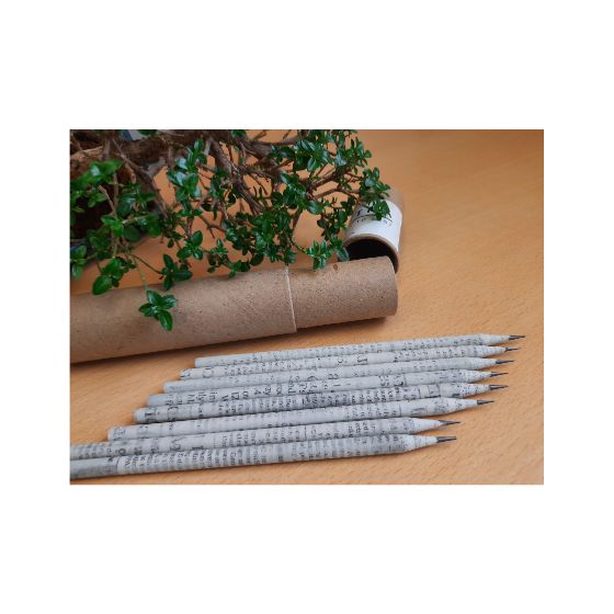 Recycled Paper Pencils w/o seed set of 10 - deltatacstore