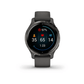 Garmin Venu 2S Slate Graphite