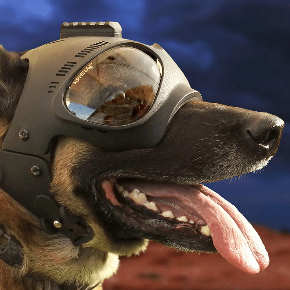 K9 Tactical Dog Helmet - DeltaTac.shop